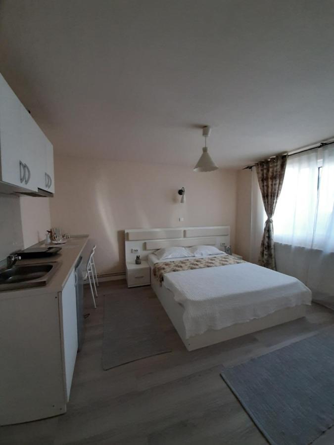 Casa Flamingo Hotell Craiova Eksteriør bilde